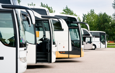 Chartered Buses in a cascading lineup